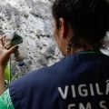 Brasil registra mais de 100 mortes por dengue e casos passam de 650 mil