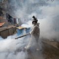 Peru anuncia emergência sanitária por surto de dengue