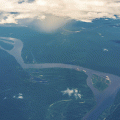 Desmatamento na Amazônia no 1º bimestre de 2024 é o menor dos últimos 6 anos