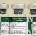 A vacina do Butantan pode ajudar a conter o surto de dengue no Brasil?