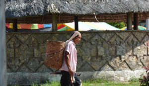 ‘Xamãs se transformavam em onça’, diz ancião da ayahuasca que vive na Amazônia peruana