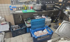 Camarote da Sapucaí é flagrado preparando alimentos no banheiro; responsável é presa