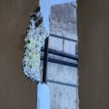 PF descobre que presos usaram objeto metálico para ampliar buraco em cela para fuga em Mossoró