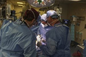 Liderada por brasileiro, equipe médica nos EUA anuncia primeiro transplante de rim de porco a um paciente vivo