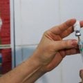 Governo distribuirá vacina contra a dengue a mais 625 municípios
