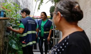 Capital paulista está perto de atingir índice epidêmico de dengue