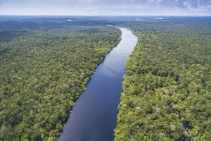 Desmatamento cai 22% na Amazônia e 9% no Pantanal