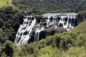 Brasil precisa recuperar 25 milhões de hectares de vegetação nativa