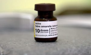 São Paulo confirma morte de primata por febre amarela em Osasco