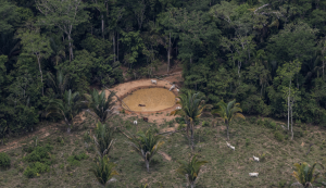 Desmatamento em terras indígenas da Amazônia alcança o menor nível em seis anos