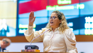 Deputada do Maranhão propõe sessão do Dia da Família só com homens: 'Ideia divina'