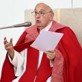 Papa Francisco chama atitudes anti-imigração na fronteira dos EUA de ‘loucura’