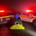 Polícia apreende 53 kg de drogas em caminhão que levava doações ao RS