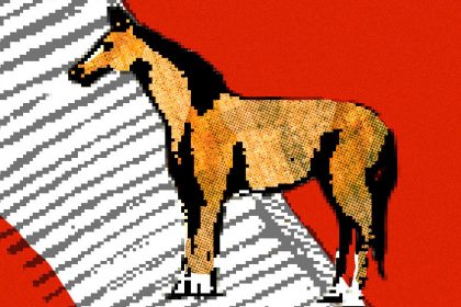 CARTUM: Égua!