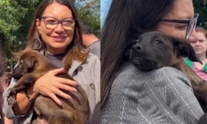 Janja e Lula adotam cachorra resgatada das enchentes no Rio Grande do Sul