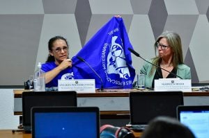 Em audiência no Senado, especialistas apontam riscos da PEC que 'privatiza' as praias brasileiras