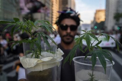 STF volta a julgar a descriminalização do porte de maconha nesta quinta; relembre os votos proferidos