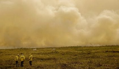Justiça bloqueia R$ 212 milhões em bens de fazendeiros que degradaram áreas no Pantanal