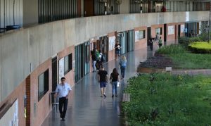 Pé-de-Meia Licenciaturas: Estudantes já podem se cadastrar para concorrer a bolsas