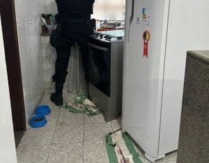 PF desarticula grupo acusado de roubar doações e cestas básicas de vítimas de enchentes no ES