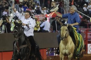 Cavalo manco