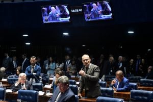 Senado aprova a criação de uma política nacional de manejo de fogo