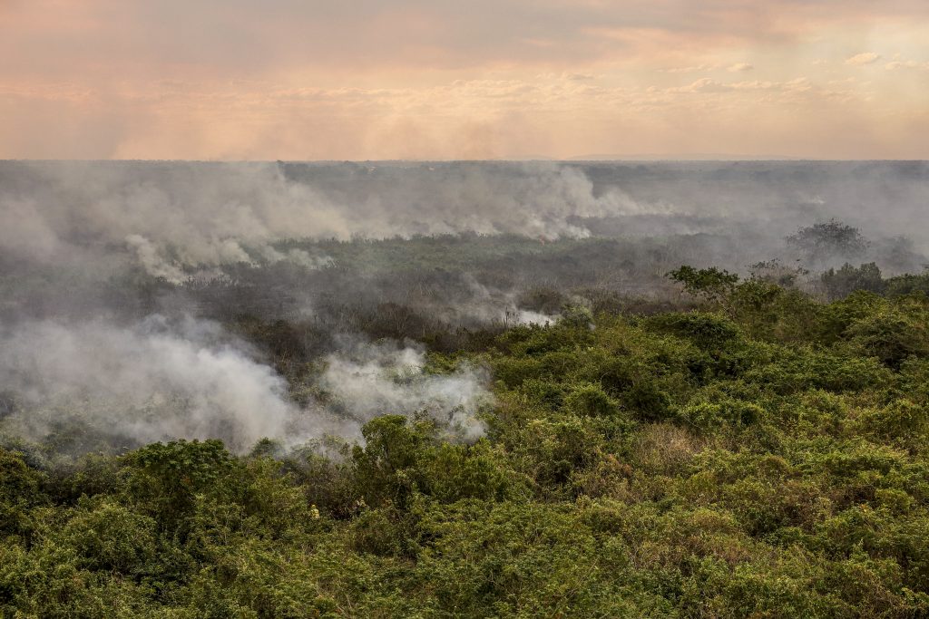 Pantanal poderá ter crise hídrica histórica em 2024, aponta estudo
