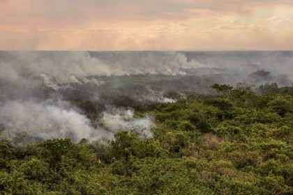 Pantanal poderá ter crise hídrica histórica em 2024, aponta estudo