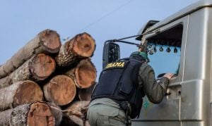 Servidores ambientais assinam acordo com governo e encerram greve