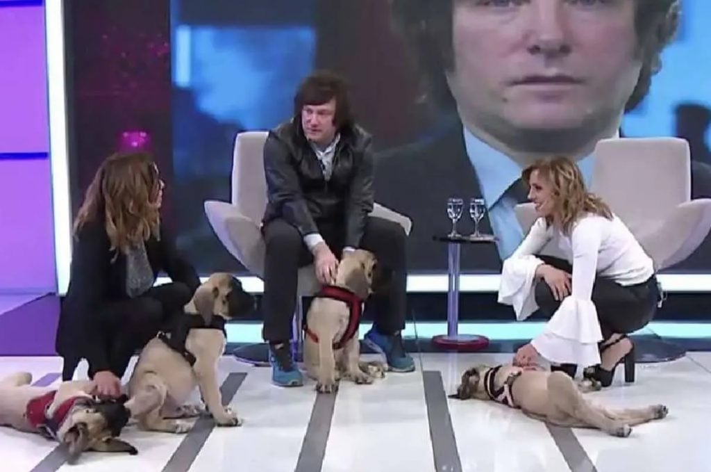 Dados sobre cachorros de Milei são protegidos por limites de acesso à informação na Argentina