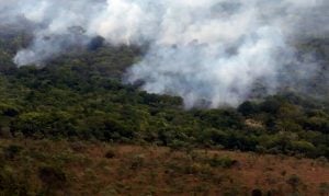 Desmatamento na Amazônia sobe em julho, mas tem queda de 45,7% entre 2023 e 2024