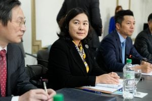 Mercosul e China retomam diálogo com objetivo de 'fortalecer' laços