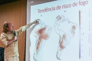 Ibama aciona PF para investigar suposta ação criminosa nos incêndios em São Paulo