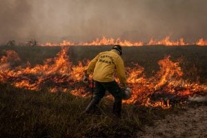 Justiça bloqueia R$ 49 milhões de infratores ambientais na Amazônia