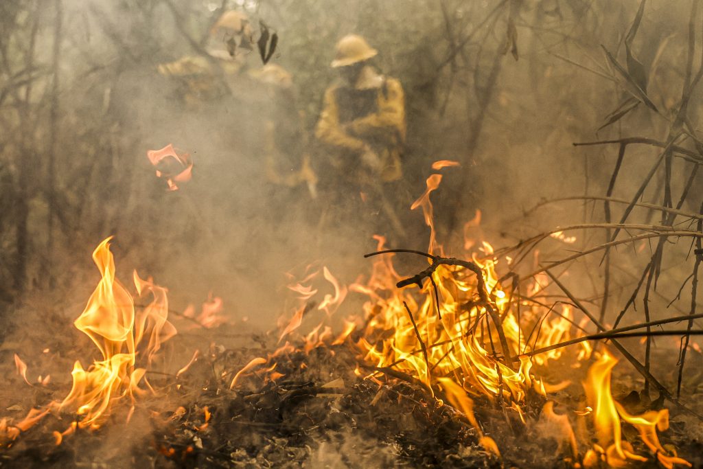 Trabalhadores pardos e amarelos do Centro-Oeste têm mais risco de morrer no calor