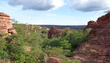 Desembargador manda órgão ambiental liberar fazenda de soja dentro de estação ecológica no PI