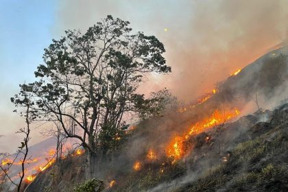Incêndios florestais deixam 30 cidades de São Paulo em alerta máximo