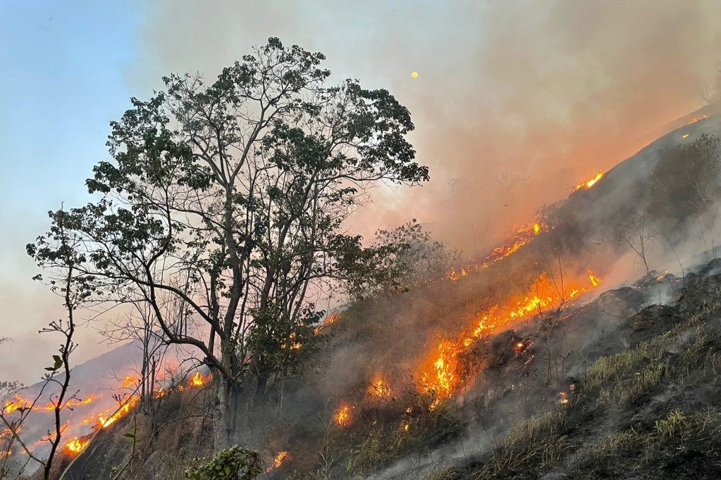 Incêndios florestais deixam 30 cidades de São Paulo em alerta máximo