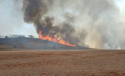 Chuvas reduzem focos de incêndio e fumaça em São Paulo
