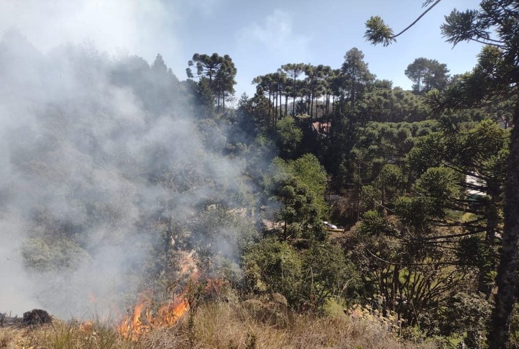 Defesa Civil diz que ação humana causou 99,9% dos incêndios em SP