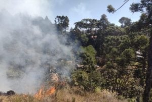 Defesa Civil diz que ação humana causou 99,9% dos incêndios em SP