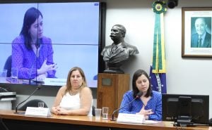 Deputadas vão ao STF contra reversão de resgate de mulher encontrada por fiscais em regime de escravidão