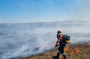 MPF aciona justiça para contratação de brigadistas contra incêndios