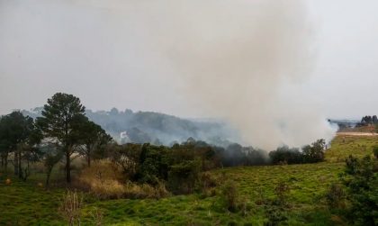 Sobe para 10 o número de presos por queimadas em São Paulo