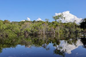 Rio Negro pode passar por pior seca da história ainda esta semana