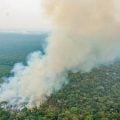 Congresso acelera o desmonte da proteção ecológica no Brasil