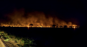 PF deflagra operação contra incêndios criminosos em Corumbá (MS)