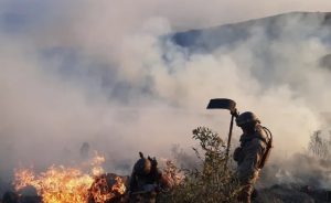 Bolívia declara emergência nacional por incêndios florestais; Brasil envia bombeiros