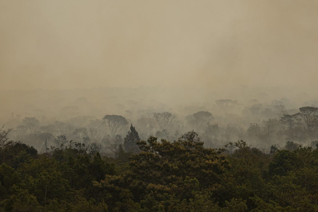 Parque de Brasília: fogo se torna subterrâneo mas pode voltar à superfície