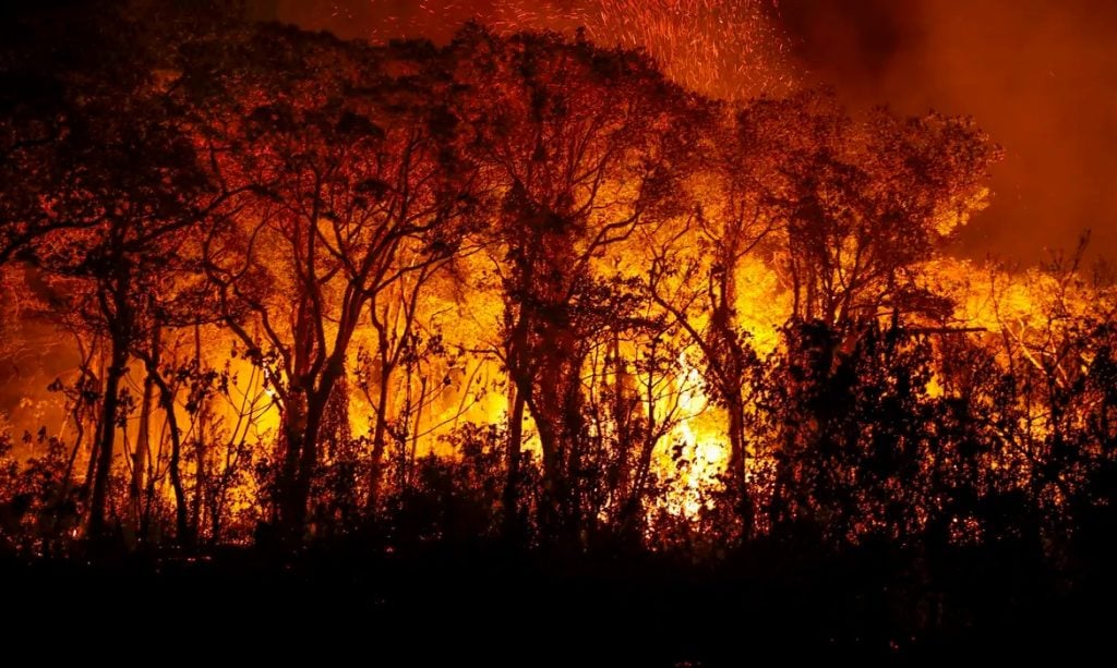 Dino homologa planos do governo para combate a incêndios no Pantanal e na Amazônia, mas pede ajustes